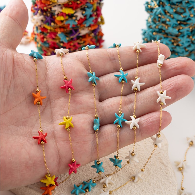 1Meter Stainless Steel Starfis - đánh giá và giá Pearl Trim Chain